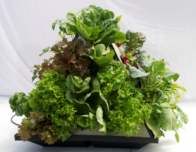 Pyramid Garden Dikey Tarım Sistemleri