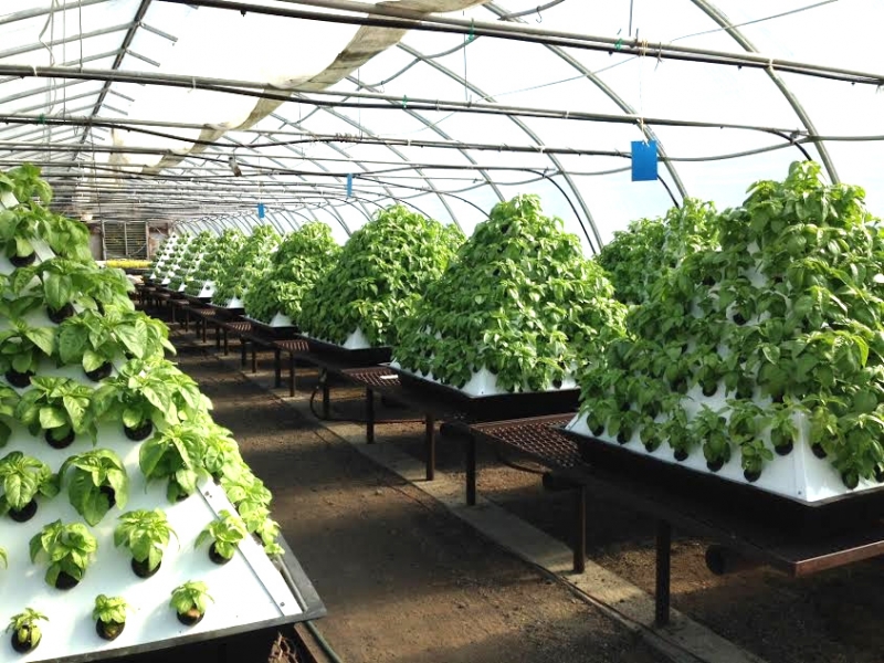 Pyramid Garden Dikey Tarım Sistemleri