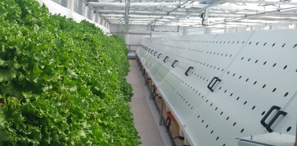 Dikey Tarim Sistemleri