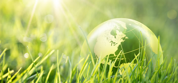 Enerama Temel �lkelerimiz