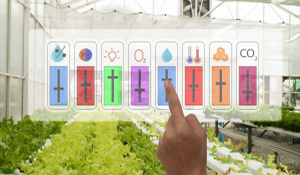 Mekasera Sens�rler